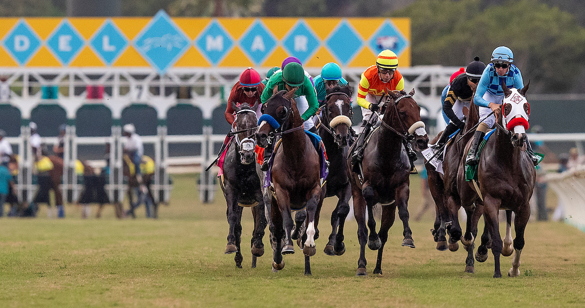 Del Mar Picks Horse Racing Nation Picks