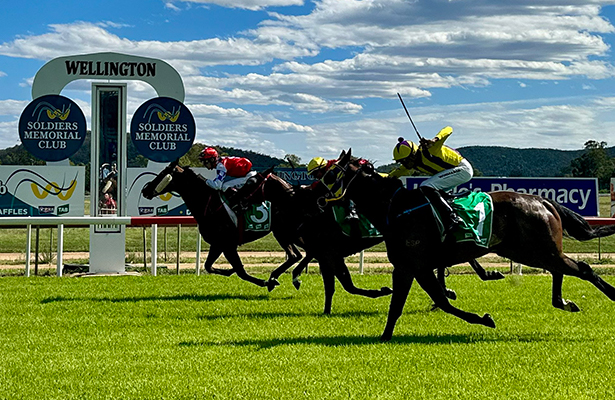 Wellington Race Course Entries Results