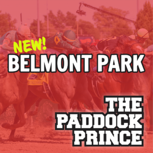 The Paddock Prince - Belmont Park Fall 2026