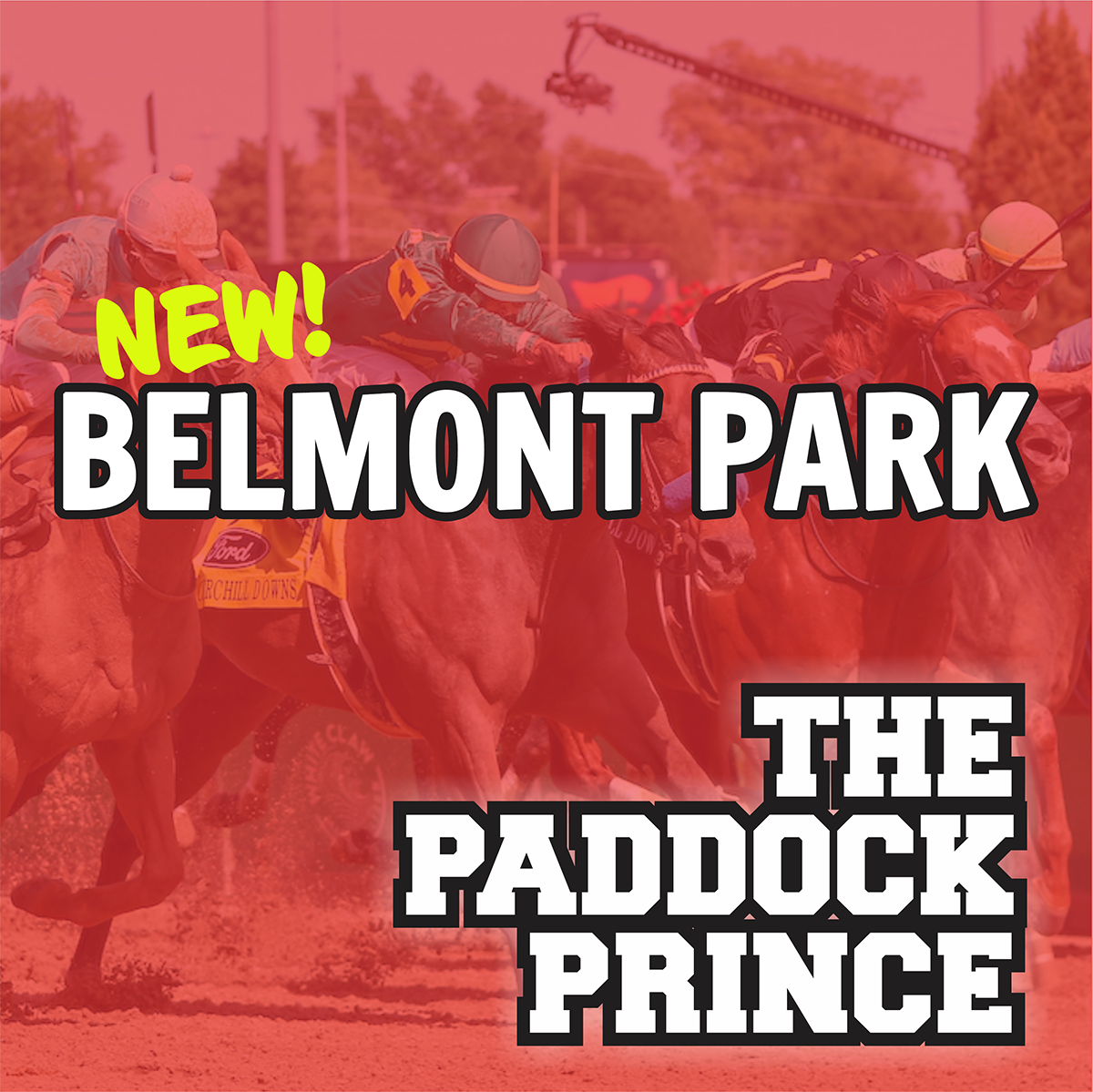 The Paddock Prince – Belmont Park Fall 2026